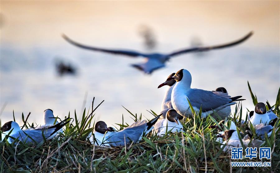 1126044729_15906471766711n.jpg 1126044729_15906471766711n.jpg