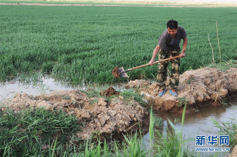 1126049187_15907202618541n.jpg 1126049187_15907202618541n.jpg